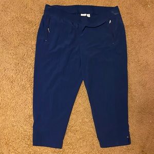 Navy blue Chico Capris 3